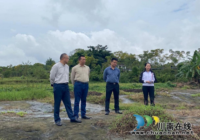 省政府派驻泸州督察员督察合江县耕地及基本农田保护工作(图1)