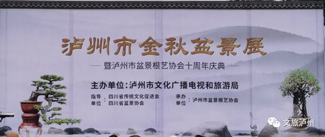 方寸展苍劲 盆中揽风华！泸州市金秋盆景展开展(图1)