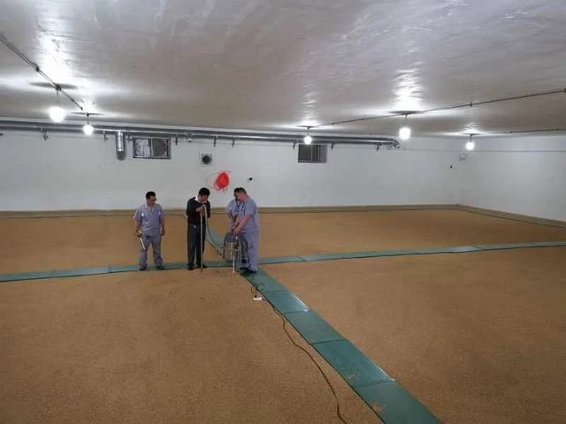 捂粮囤粮完全没必要 泸州粮食安全有“底气”(图1)