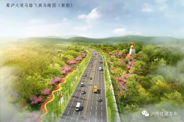 配上樱花、紫薇、紫荆花……泸州这四条景观大道下月动工打造超美打卡地！