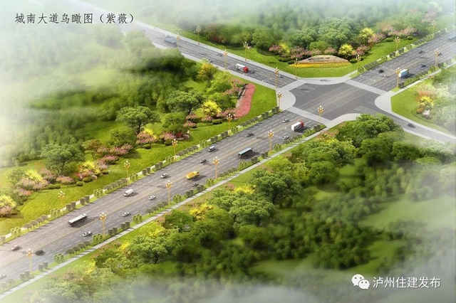配上樱花、紫薇、紫荆化……泸州这四条景观大道下月动工打造超美打卡地！(图3)