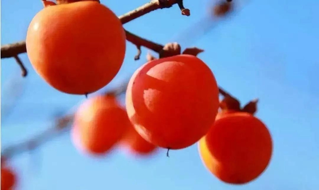 【霜降】明天起，火锅、烧烤、串串不要吃了！(图7)