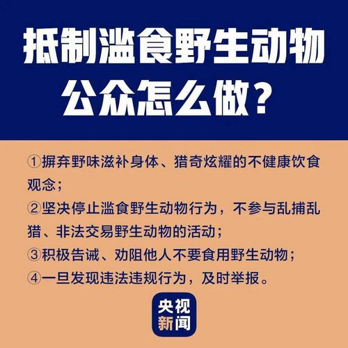 自贡一男子在抖音炫耀剐杀果子狸，结果......(图4)