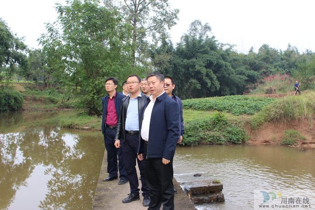 县委常委、县总工会主席杨双全到玉蟾街道督导小鹿溪河河长制工作(图4)