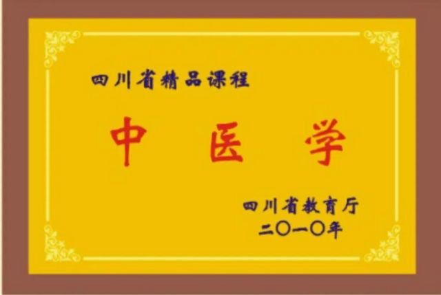 西南医科大学中西医结合学院召开新生见面会(图17)
