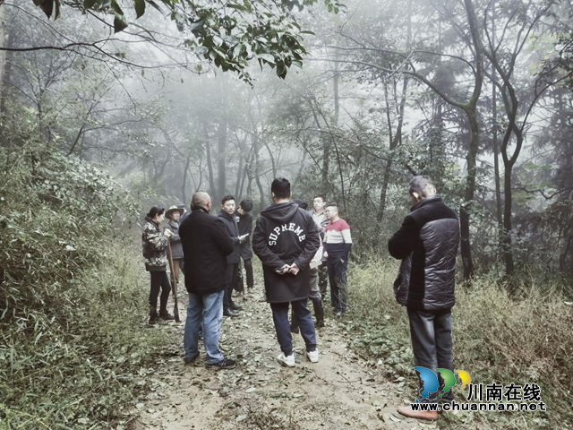 泸县启动国有林场林地使用权、林木所有权不动产登记工作(图1)