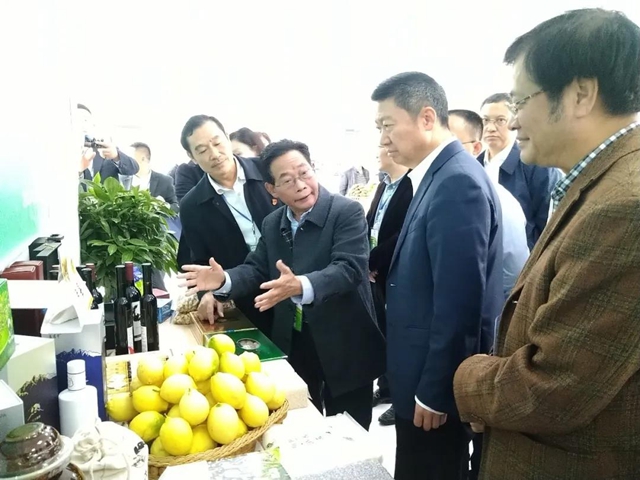 上下联动推动乡贤工作上台阶(图7) 上下联动推动乡贤工作上台阶(图7)