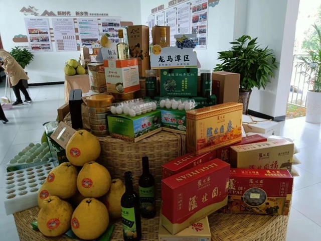 上下联动推动乡贤工作上台阶(图12) 上下联动推动乡贤工作上台阶(图12)
