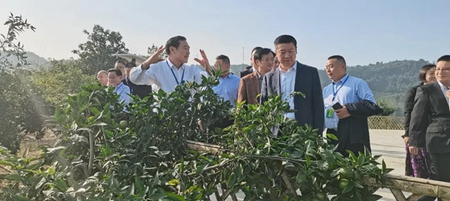 上下联动推动乡贤工作上台阶(图14) 上下联动推动乡贤工作上台阶(图14)