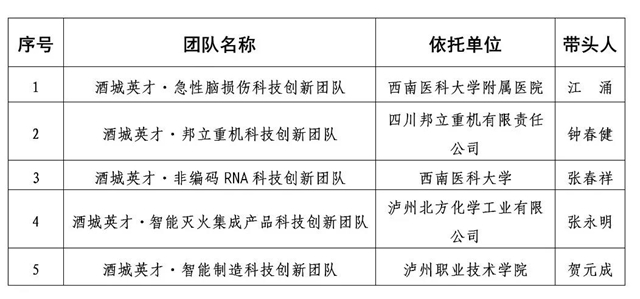 公示丨泸州市2020年度“酒城英才”拟入选名单出炉！(图1)