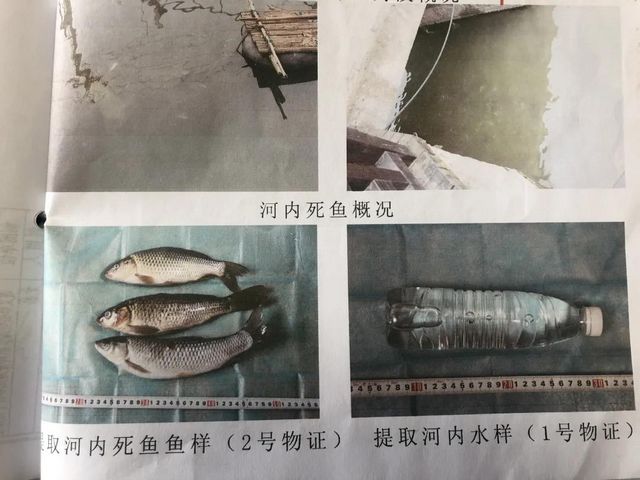 气愤！为吃3斤鱼，遵义4男子投毒致22万条鱼死亡(图4)