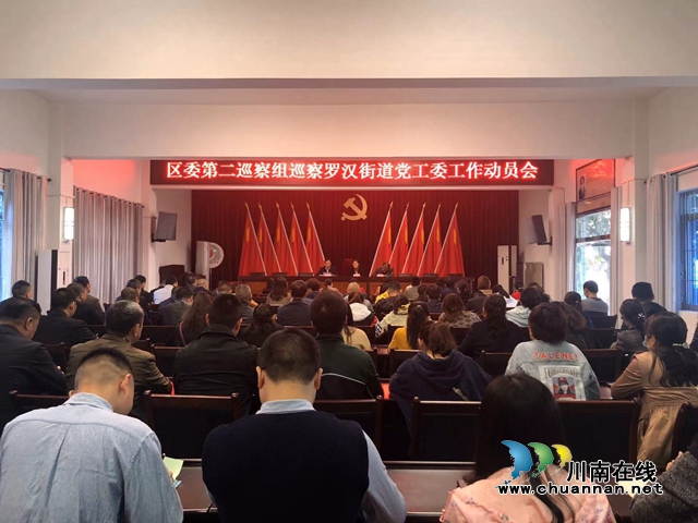 龙马潭区委第二巡察组巡察罗汉街道党工委工作动员会召开(图1)