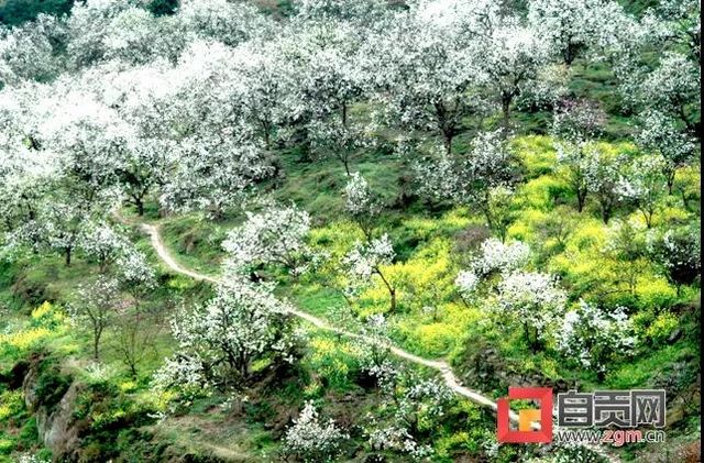 美了美了!自贡首个“四川特色气候小镇”得名“云林”(图4) 美了美了!自贡首个“四川特色气候小镇”得名“云林”(图4)