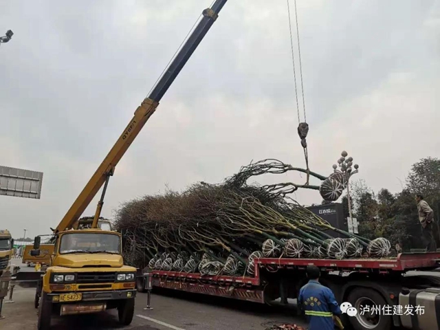 泸州将在这四条景观大道上做“文章”(图1)