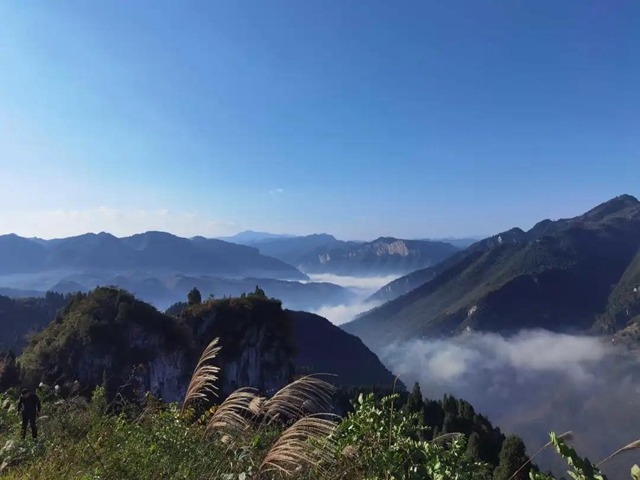初冬，来古蔺赴一场云海大观之约！(图1)