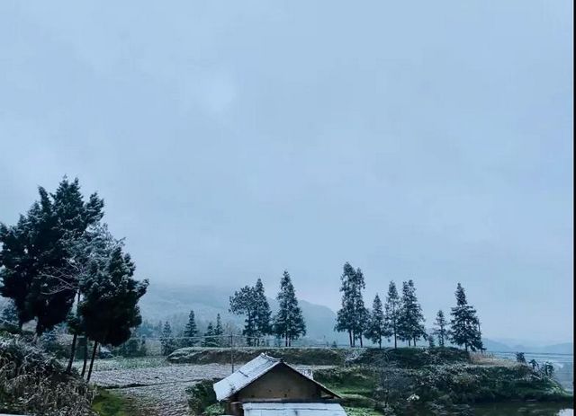 2020叙永、古蔺初雪美景图(图10)