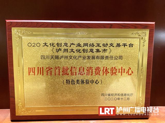 四川为首批10个信息消费体验中心授牌 泸州两个项目入选(图4)