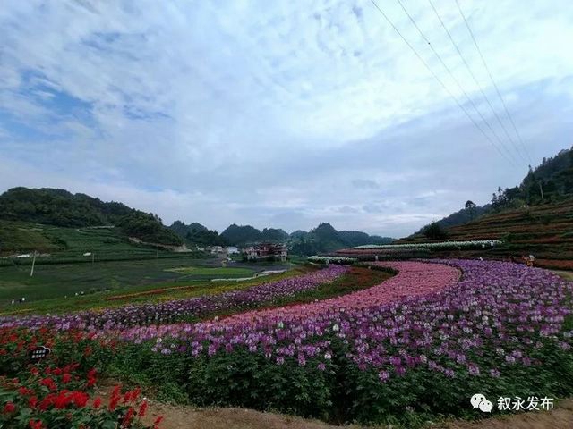 泸州唯一！叙永摩尼镇获“四川生态气候标志”授牌(图4)