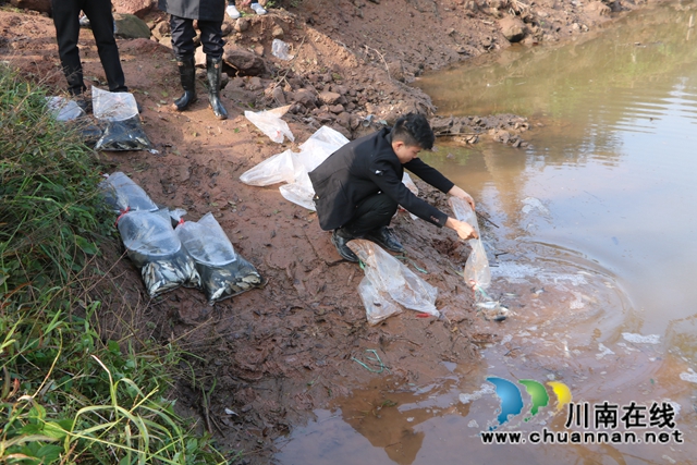 纳溪法院：增殖放流，共同促进长江流域生态资源恢复(图4)
