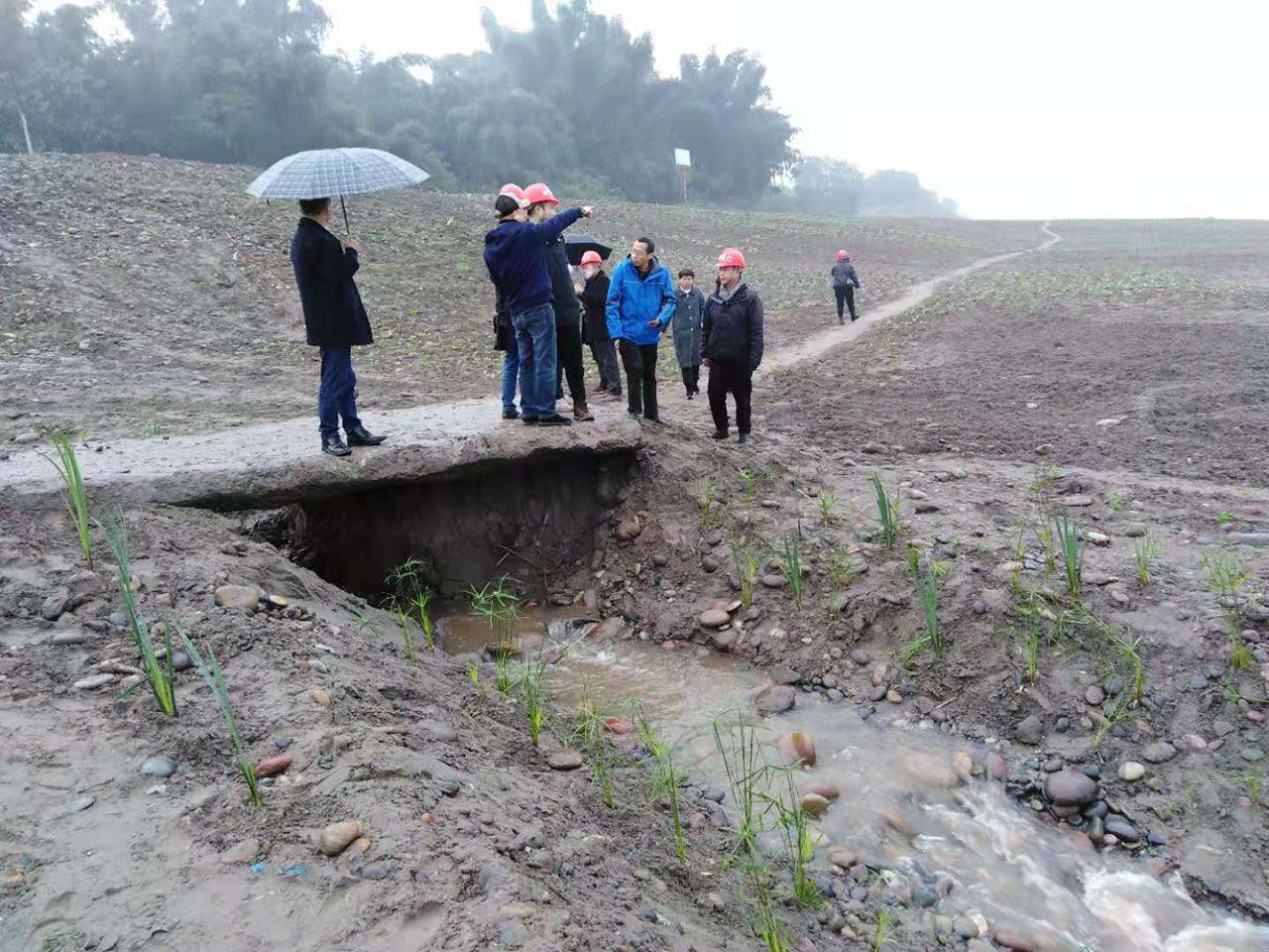 纳溪区长江经济带废弃露天矿山生态修复工程通过初步验收(图1)