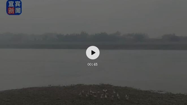 成都(图1)