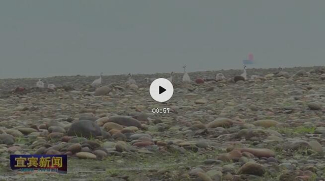 成都(图2)