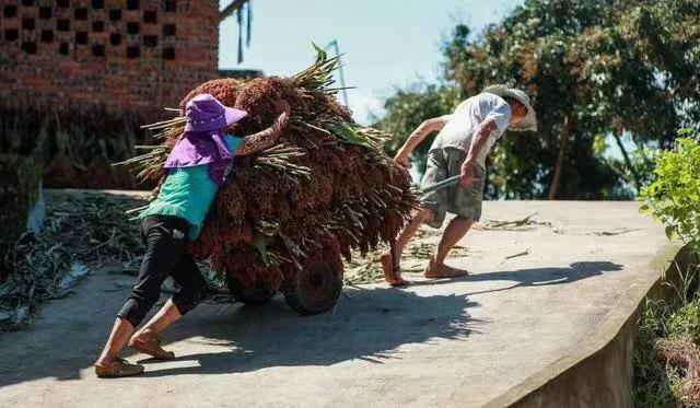 善始善终,一起走向美好生活!(图5) 善始善终,一起走向美好生活!(图5)