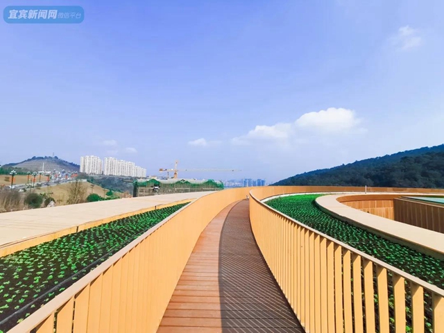 震撼!宜宾翠屏山又一网红打卡地来了!巨大环形建筑、绝美栈道、360°观景台……(图17) 震撼!宜宾翠屏山又一网红打卡地来了!巨大环形建筑、绝美栈道、360°观景台……(图17)