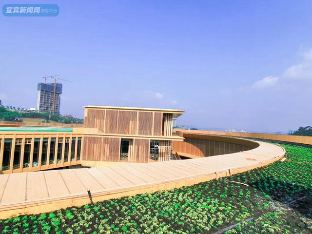 震撼!宜宾翠屏山又一网红打卡地来了!巨大环形建筑、绝美栈道、360°观景台……(图18) 震撼!宜宾翠屏山又一网红打卡地来了!巨大环形建筑、绝美栈道、360°观景台……(图18)