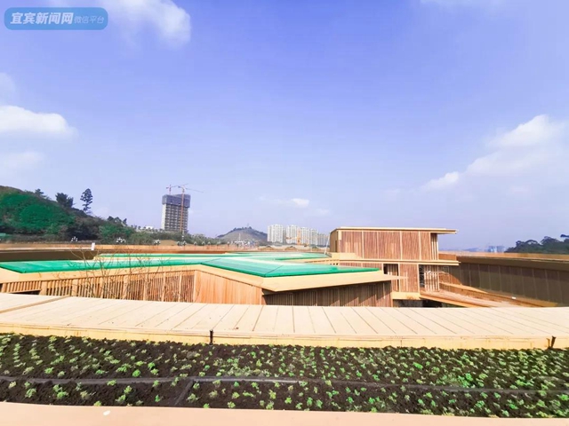 震撼!宜宾翠屏山又一网红打卡地来了!巨大环形建筑、绝美栈道、360°观景台……(图19) 震撼!宜宾翠屏山又一网红打卡地来了!巨大环形建筑、绝美栈道、360°观景台……(图19)