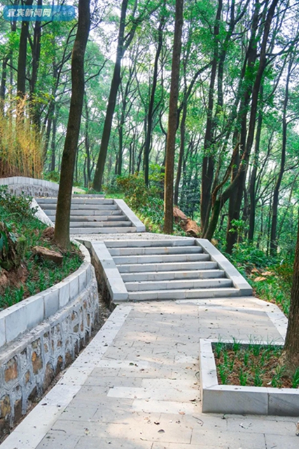 震撼!宜宾翠屏山又一网红打卡地来了!巨大环形建筑、绝美栈道、360°观景台……(图28) 震撼!宜宾翠屏山又一网红打卡地来了!巨大环形建筑、绝美栈道、360°观景台……(图28)