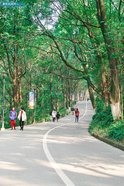 震撼!宜宾翠屏山又一网红打卡地来了!巨大环形建筑、绝美栈道、360°观景台……(图30) 震撼!宜宾翠屏山又一网红打卡地来了!巨大环形建筑、绝美栈道、360°观景台……(图30)