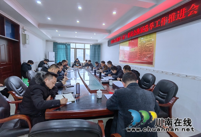 泸县立石镇召开村（居）委换届工作推进会(图2)