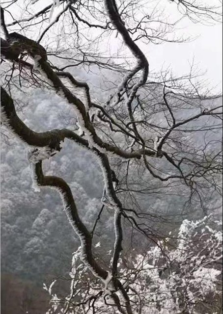这些赏雪地点赶紧收藏！宜宾可能迎来新年第一场雪(图19)