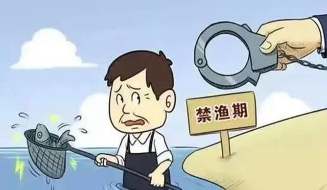 胆敢电鱼，把你们处“痛”！内江首例非法捕捞水产品案宣判(图2)