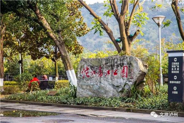 泸州城区腊梅地图请收好！花都开好了，只等你！(图5)