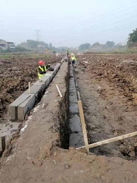 江阳区高标准农田建设加快推进 预计3月底全面完工(图4) 江阳区高标准农田建设加快推进 预计3月底全面完工(图4)