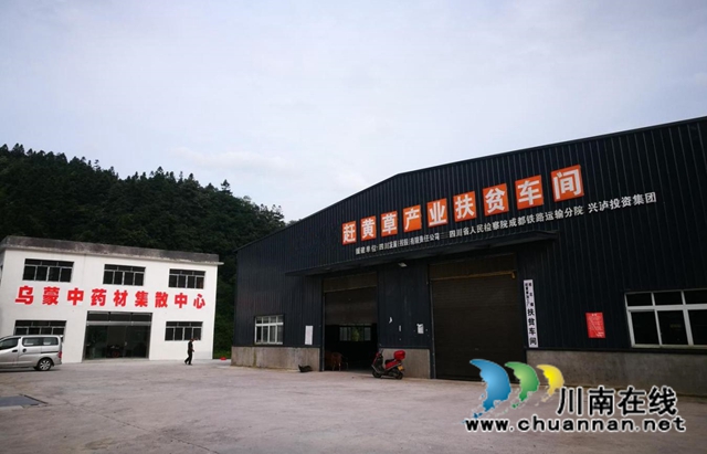 签约啦！古蔺苗家“神仙草”等中药产业发展步入快车道(图2)