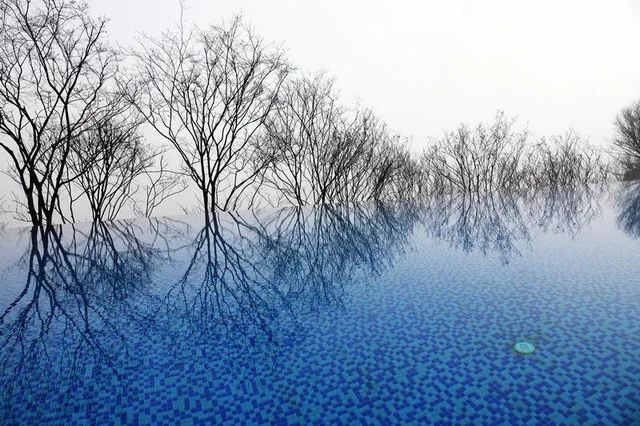 大片来袭,记录古蔺郎酒庄园的十二时辰……(图14) 大片来袭,记录古蔺郎酒庄园的十二时辰……(图14)