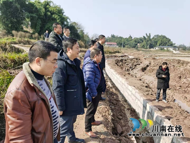 泸州市国土整治和修复中心开展岁末年初在建土地整理项目检查(图2)