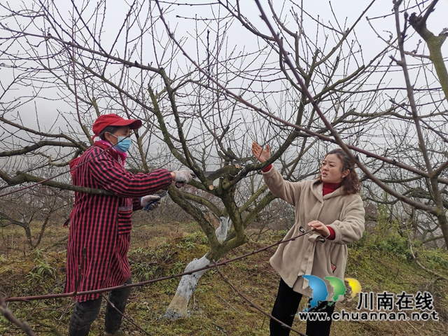 省劳动模范薛世兰：多产融合、稻菜轮作实现粮增产钱增收(图3)