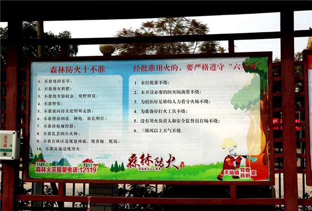 【森林防灭火】泸州纳溪：青山有人管 绿林有人护(图6)