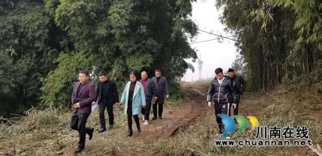 自贸区川南临港片区自然资源和规划分局会同港投集团开展春节前储备土地安全检查(图3)