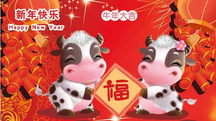 【投票】哪个新年视频最火爆？您说了算！（二）
