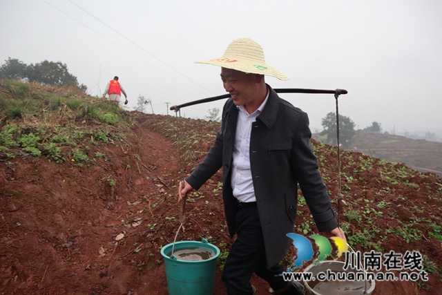 草长莺飞植树忙！泸县云龙镇开展2021年植树节活动(图3)