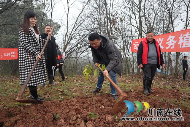 草长莺飞植树忙！泸县云龙镇开展2021年植树节活动