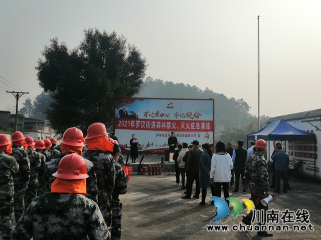 龙马潭区罗汉街道开展2021年森林防火、灭火应急演练(图2)