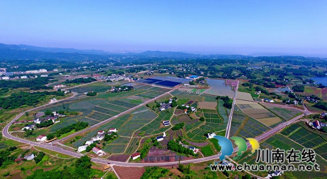 泸州市推进乡村振兴系列报道(二):产业兴旺美如画(图3) 泸州市推进乡村振兴系列报道(二):产业兴旺美如画(图3)