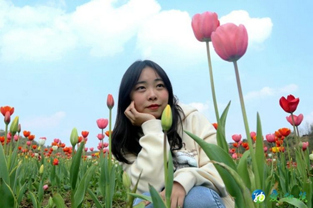 纳溪：看！这么“牛”的花“犇”您而来！(图5)