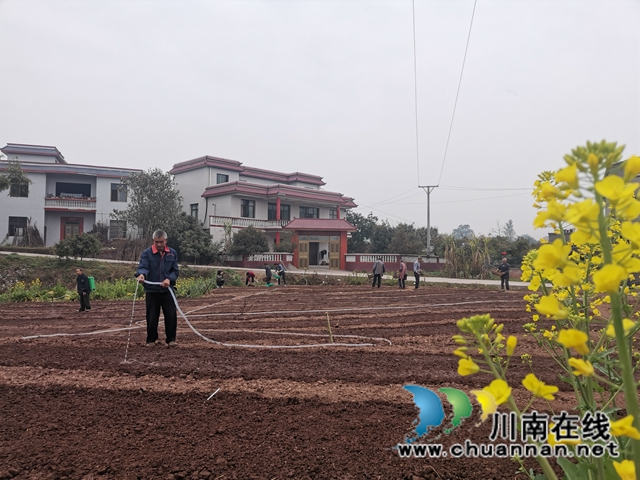 泸县：推广良种良法，提高春耕保含金量